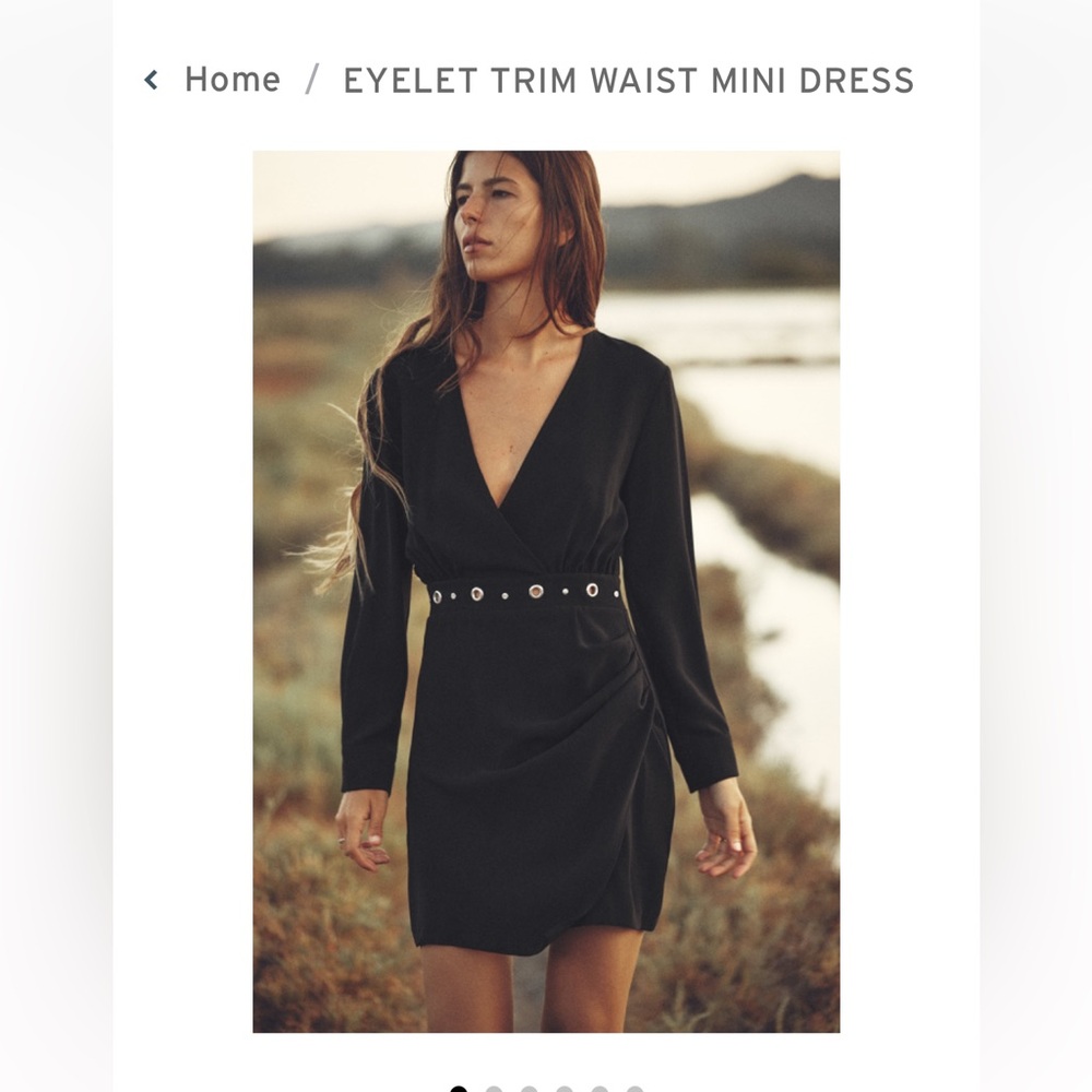 Zara trim waist mini dress